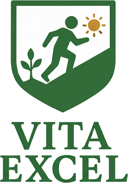 Vita Excel logo: a person climbing a green hill towards the sun